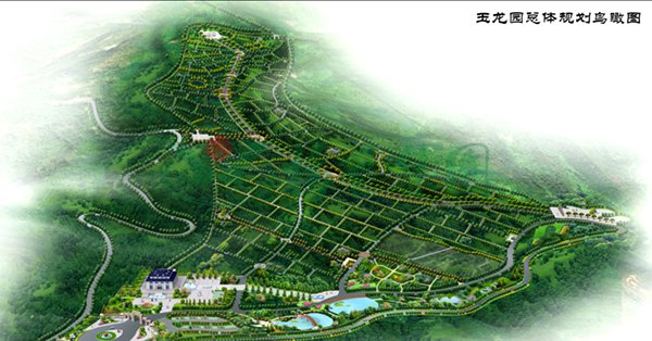 122cc太阳集成游戏(中国)有限公司官网