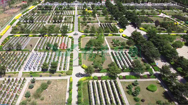 122cc太阳集成游戏(中国)有限公司官网