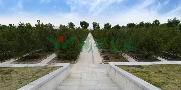 122cc太阳集成游戏(中国)有限公司官网