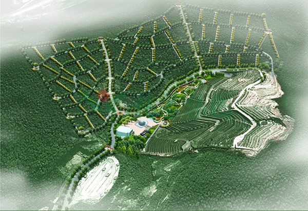 122cc太阳集成游戏(中国)有限公司官网