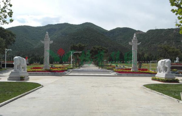 122cc太阳集成游戏(中国)有限公司官网