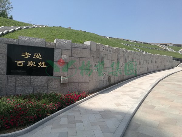 122cc太阳集成游戏(中国)有限公司官网