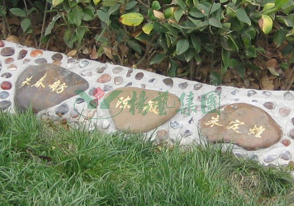 122cc太阳集成游戏(中国)有限公司官网