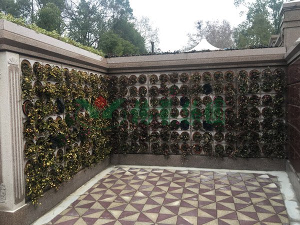 122cc太阳集成游戏(中国)有限公司官网