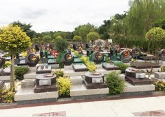 上；；；懔靶腔鹎