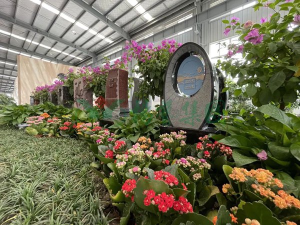 122cc太阳集成游戏(中国)有限公司官网