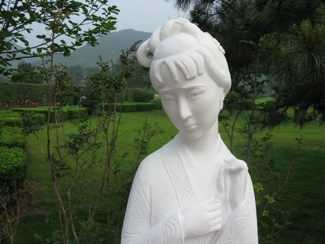 122cc太阳集成游戏(中国)有限公司官网