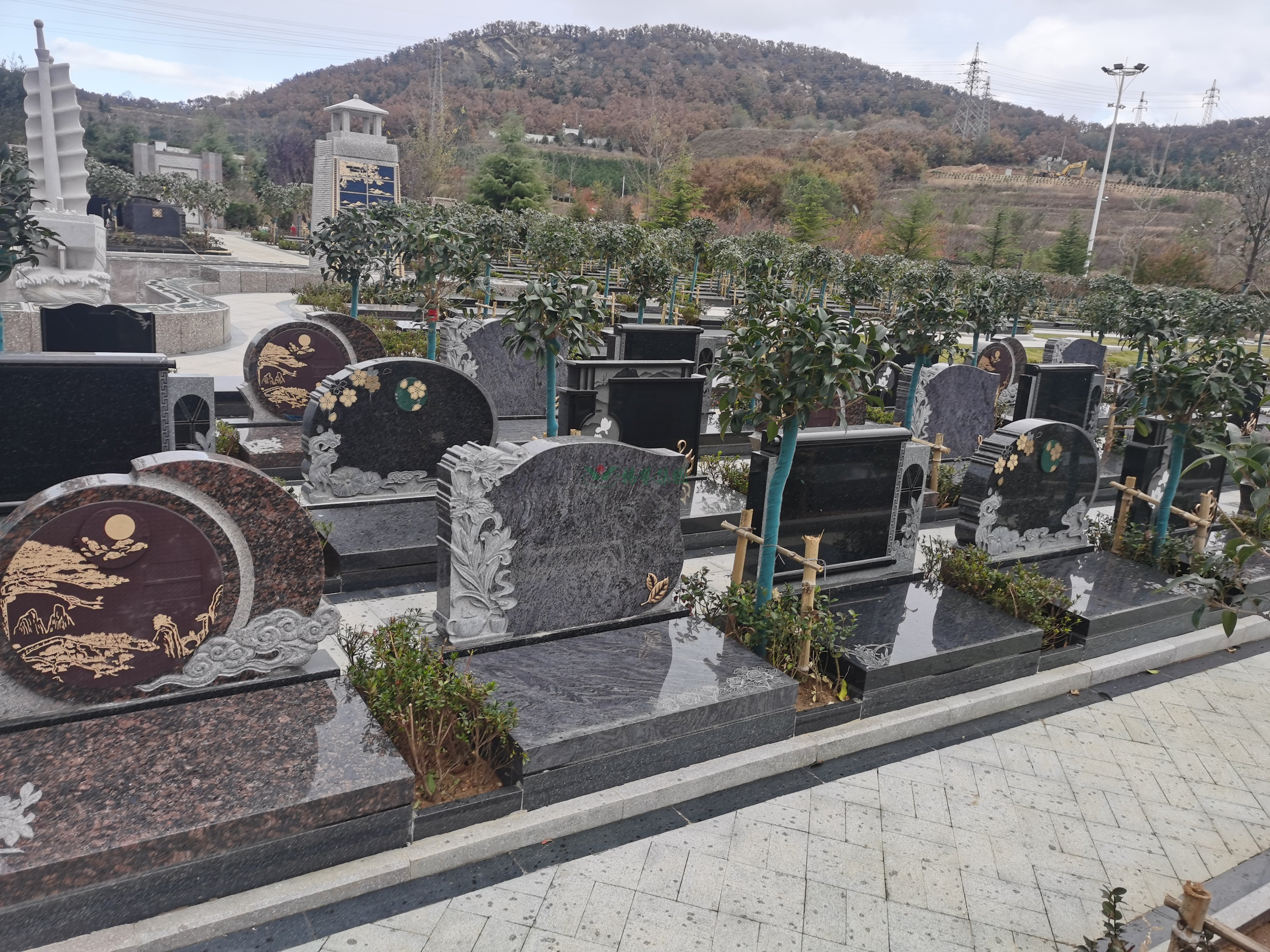 122cc太阳集成游戏(中国)有限公司官网