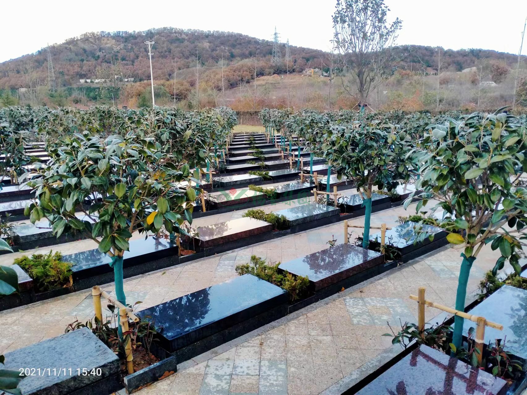 122cc太阳集成游戏(中国)有限公司官网