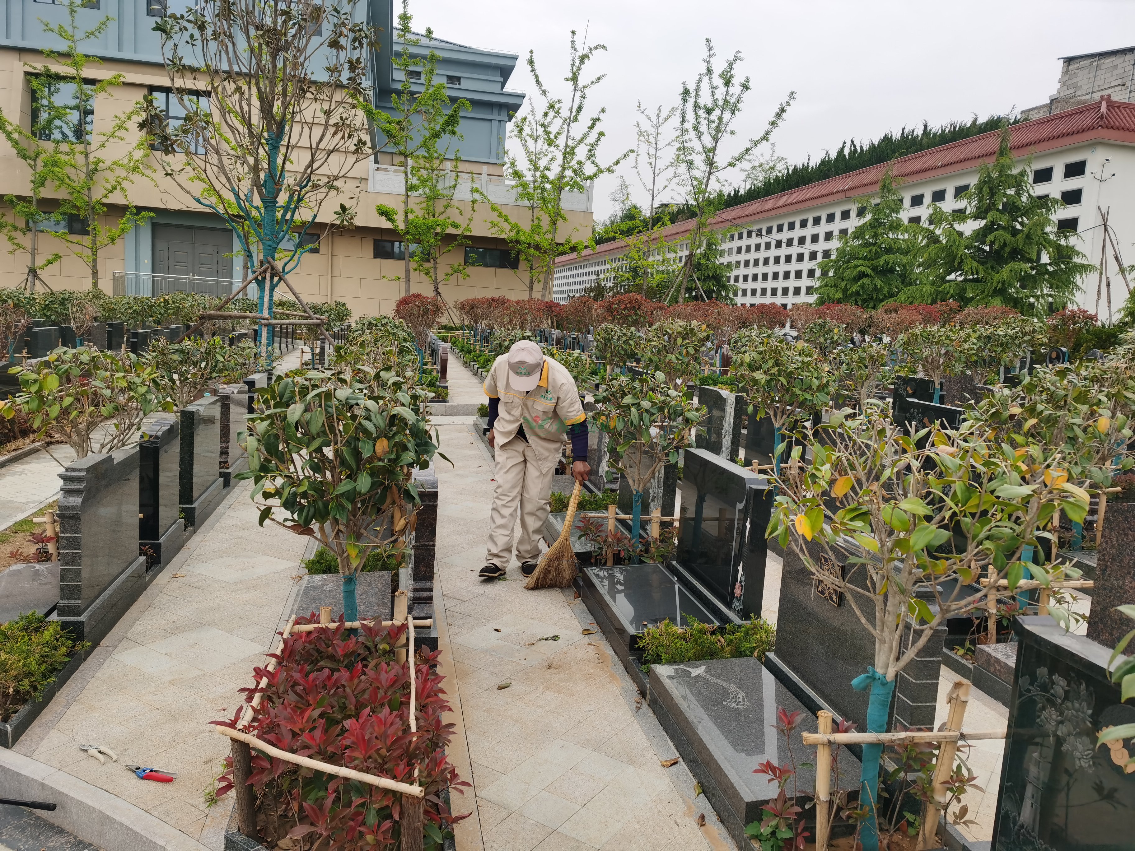 122cc太阳集成游戏(中国)有限公司官网