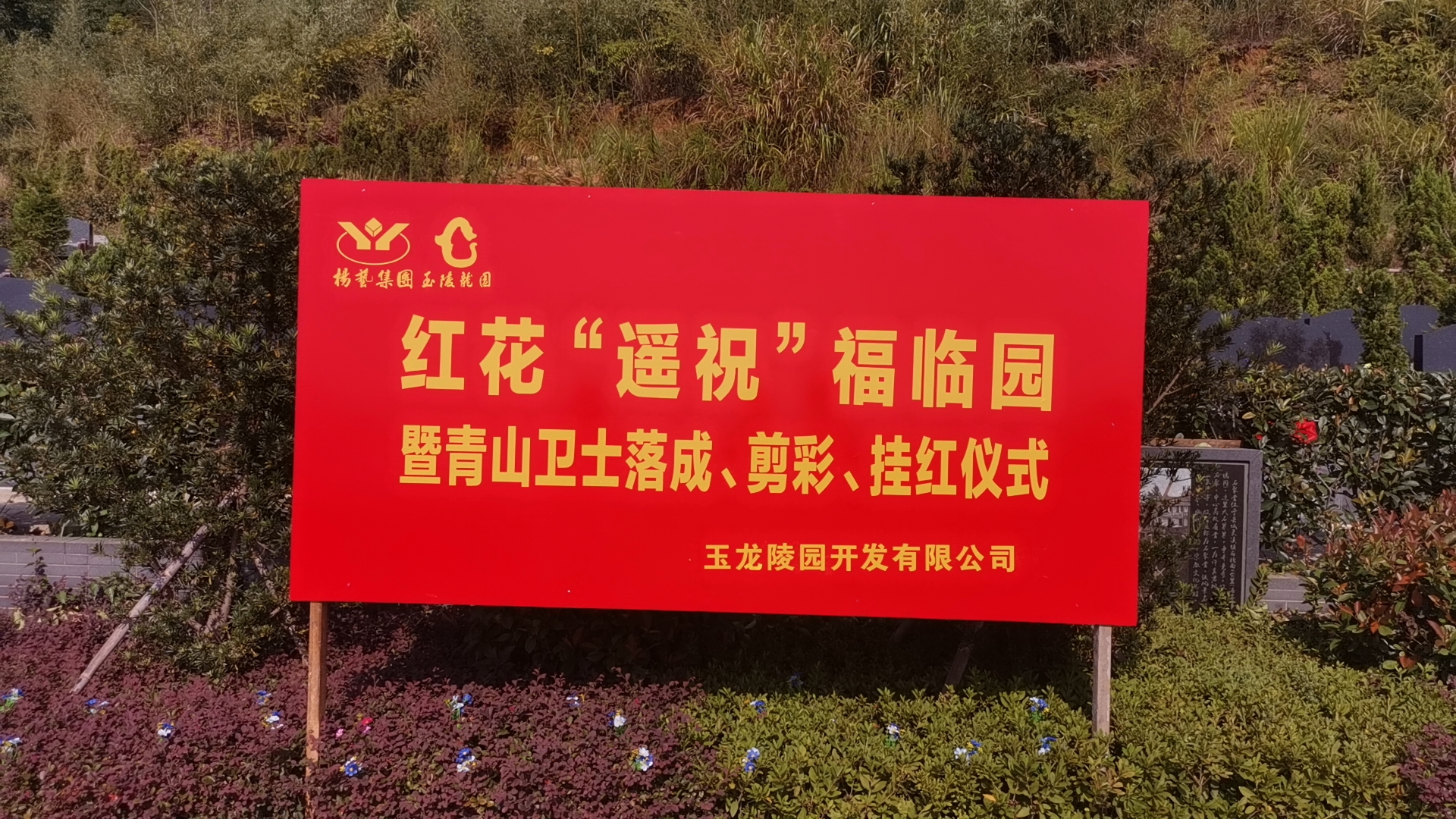 红花传爱意，，，，，，情满玉龙园！