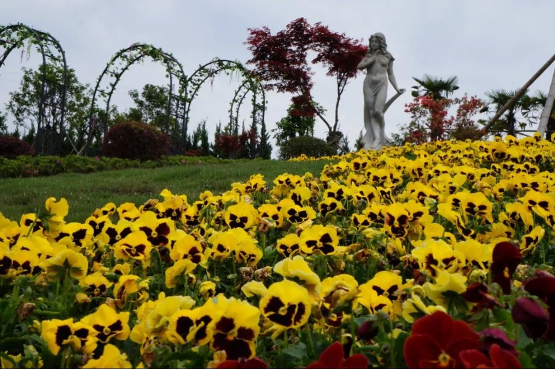 122cc太阳集成游戏(中国)有限公司官网