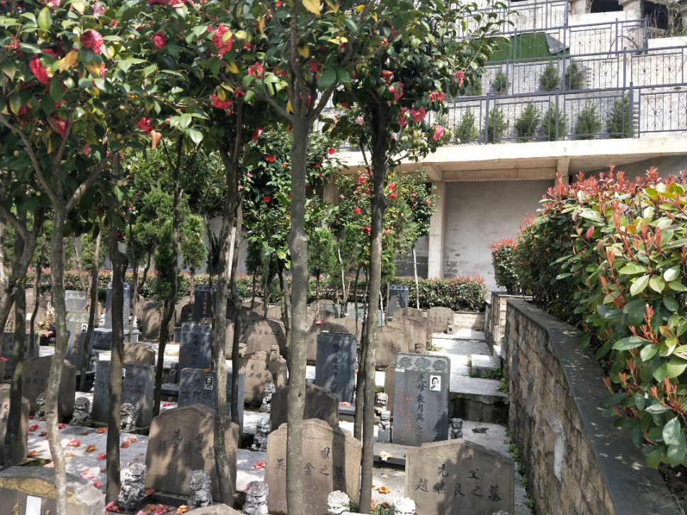 122cc太阳集成游戏(中国)有限公司官网