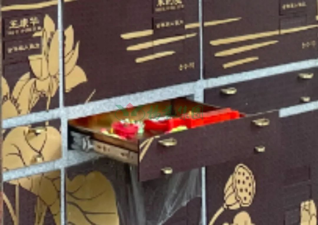 122cc太阳集成游戏(中国)有限公司官网