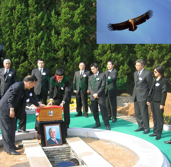 122cc太阳集成游戏(中国)有限公司官网