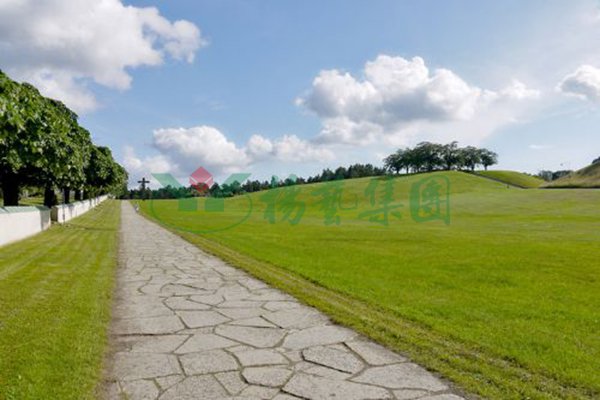 122cc太阳集成游戏(中国)有限公司官网