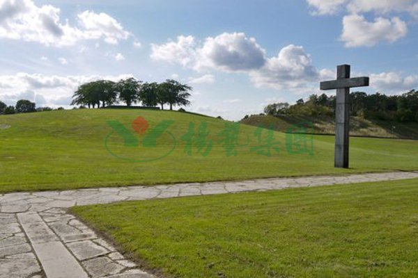 122cc太阳集成游戏(中国)有限公司官网