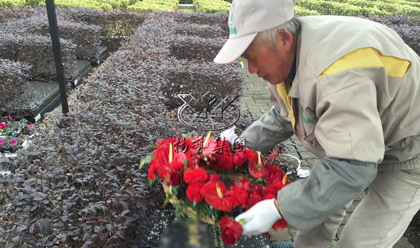 122cc太阳集成游戏(中国)有限公司官网