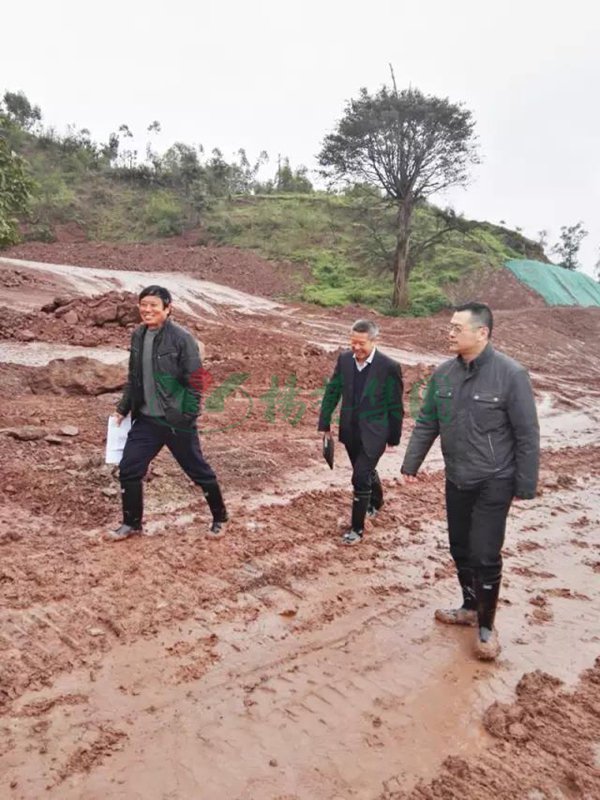 122cc太阳集成游戏(中国)有限公司官网