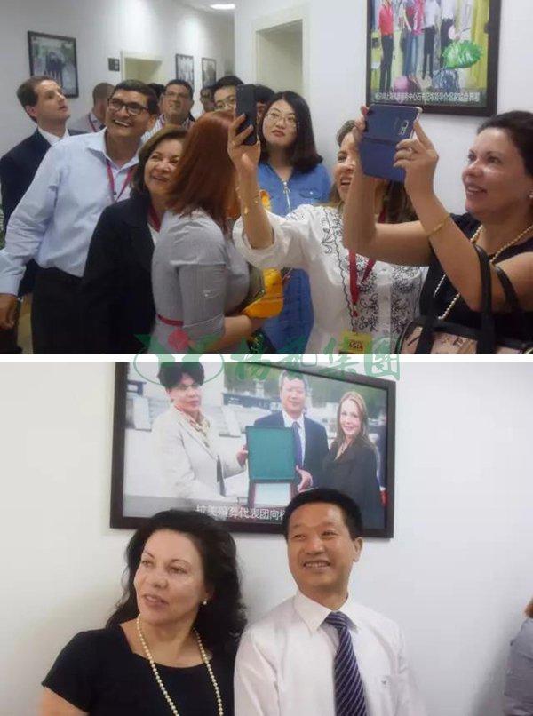 122cc太阳集成游戏(中国)有限公司官网