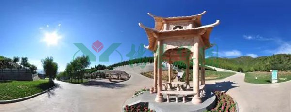 122cc太阳集成游戏(中国)有限公司官网