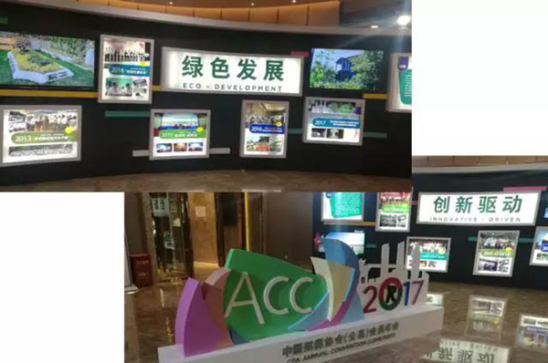 122cc太阳集成游戏(中国)有限公司官网