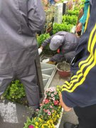 【122cc太阳集成游戏人别样清明】2018年清明落葬事情圆满完成