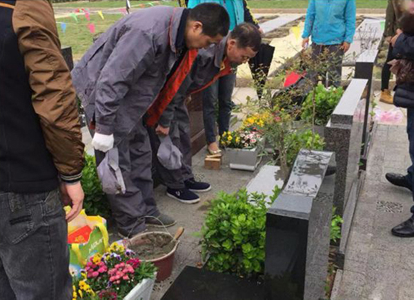 122cc太阳集成游戏(中国)有限公司官网