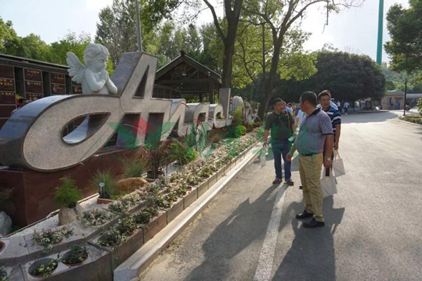 122cc太阳集成游戏(中国)有限公司官网