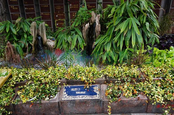 122cc太阳集成游戏(中国)有限公司官网