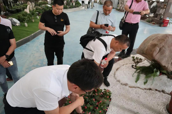 122cc太阳集成游戏(中国)有限公司官网