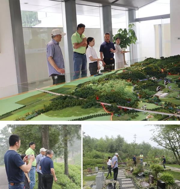 122cc太阳集成游戏(中国)有限公司官网