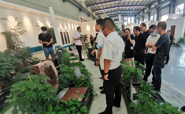 122cc太阳集成游戏(中国)有限公司官网