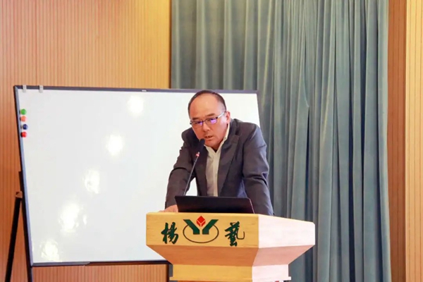 122cc太阳集成游戏(中国)有限公司官网