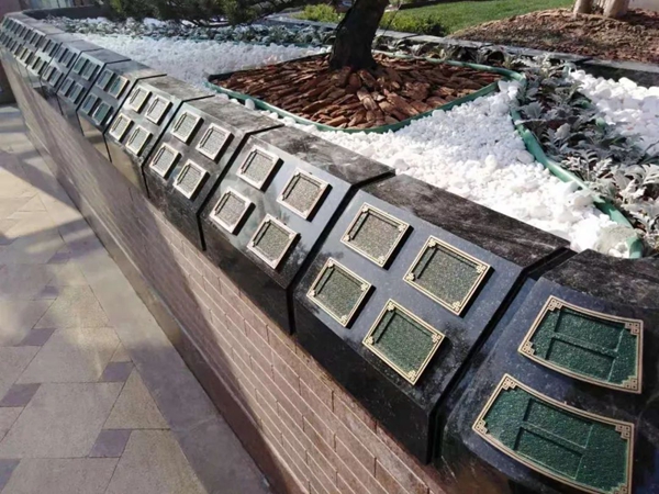 122cc太阳集成游戏(中国)有限公司官网