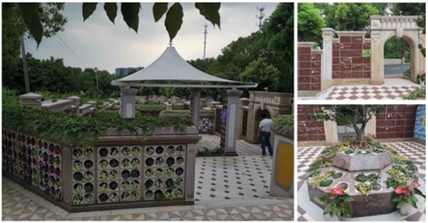 122cc太阳集成游戏(中国)有限公司官网