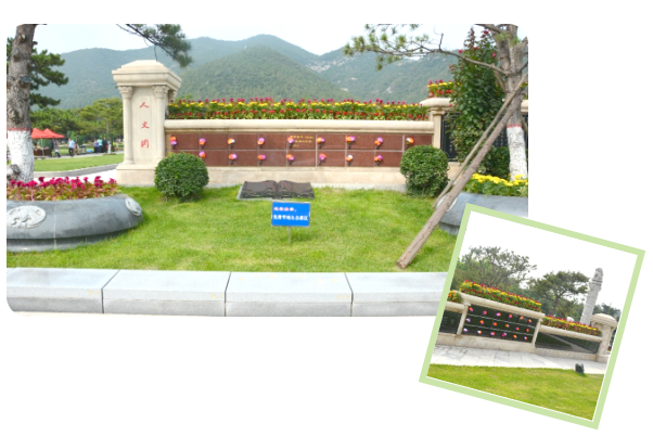 122cc太阳集成游戏(中国)有限公司官网