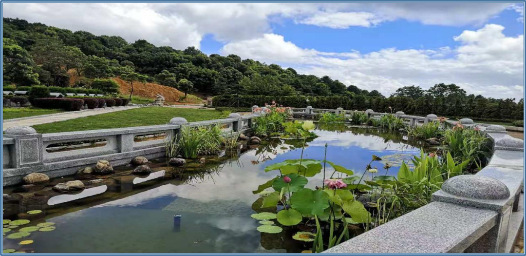 122cc太阳集成游戏(中国)有限公司官网