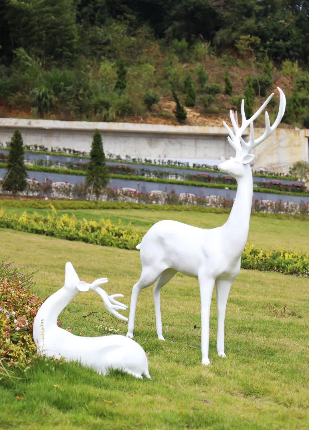 122cc太阳集成游戏(中国)有限公司官网