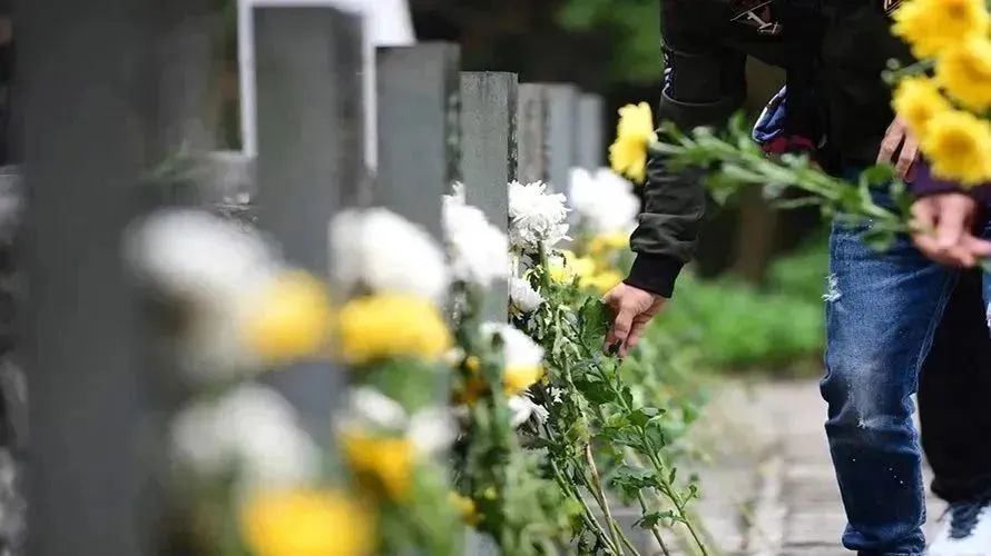 122cc太阳集成游戏(中国)有限公司官网