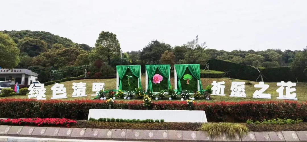 122cc太阳集成游戏(中国)有限公司官网