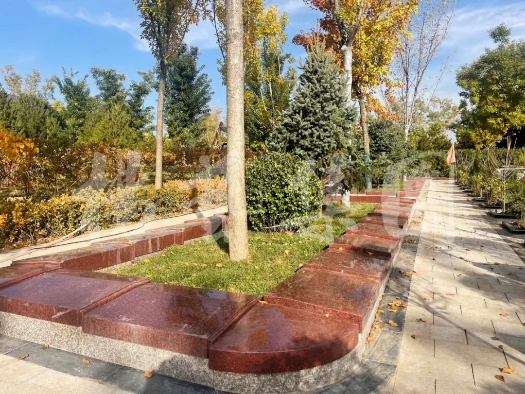 122cc太阳集成游戏(中国)有限公司官网