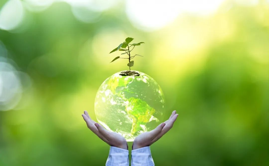 122cc太阳集成游戏(中国)有限公司官网