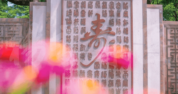 122cc太阳集成游戏(中国)有限公司官网