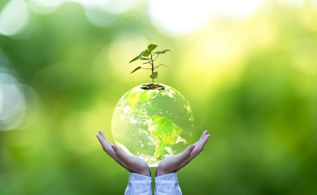 122cc太阳集成游戏(中国)有限公司官网