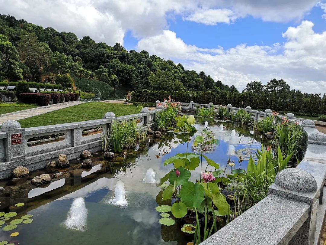 122cc太阳集成游戏(中国)有限公司官网