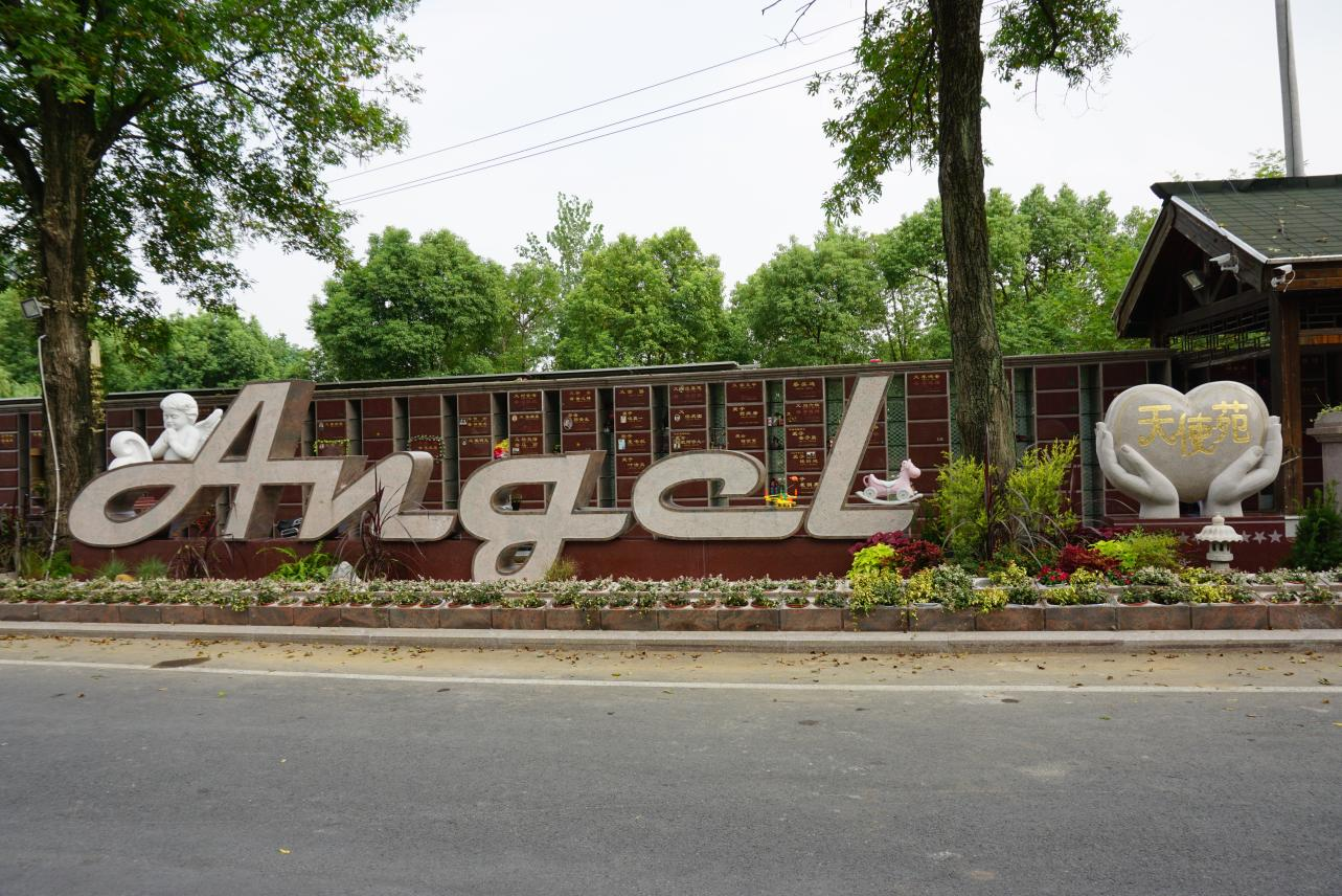 122cc太阳集成游戏(中国)有限公司官网