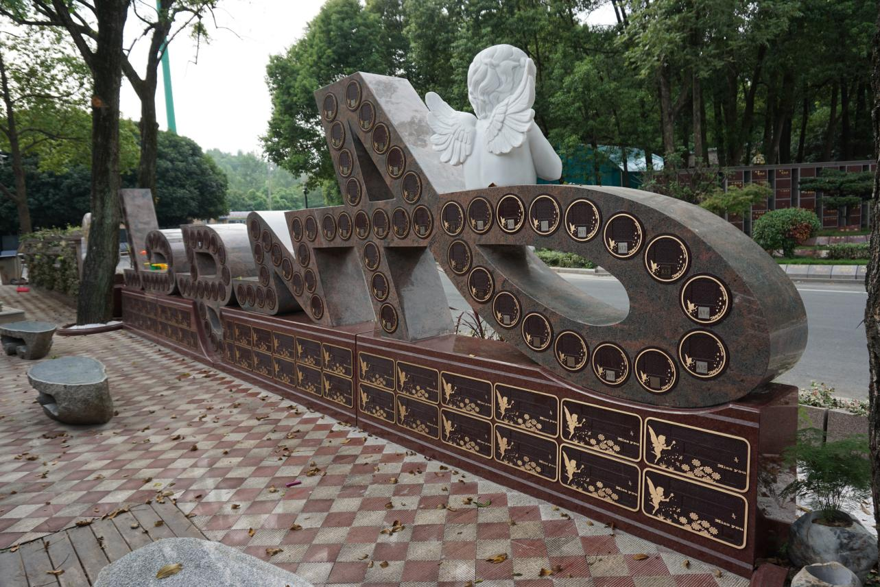 122cc太阳集成游戏(中国)有限公司官网