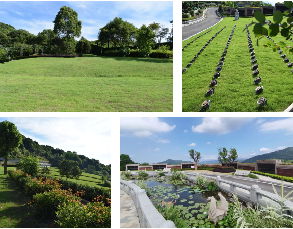 122cc太阳集成游戏(中国)有限公司官网