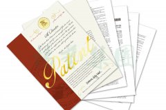 国际认可 | 122cc太阳集成游戏喜获一项美国发明专利授权